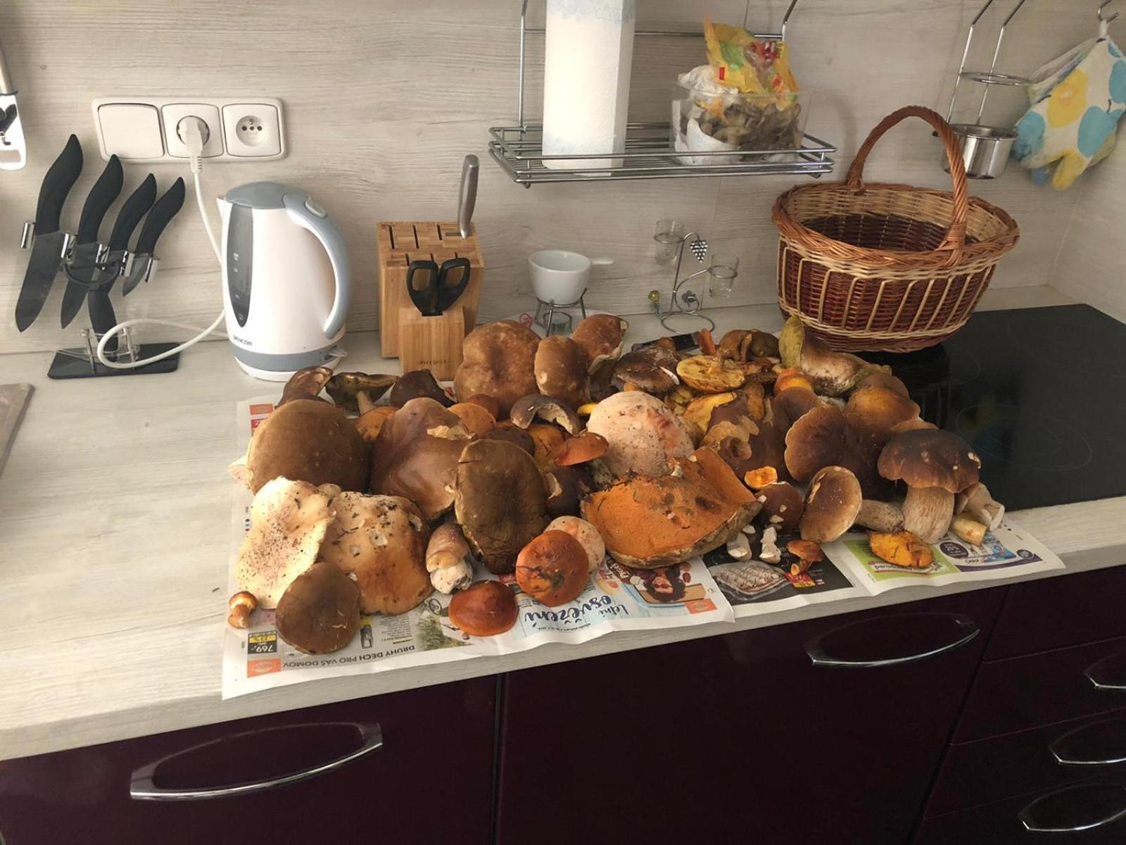 Apartmány Borůvka Ceska Kamenice Exterior foto